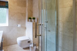 Shower, hair dryer