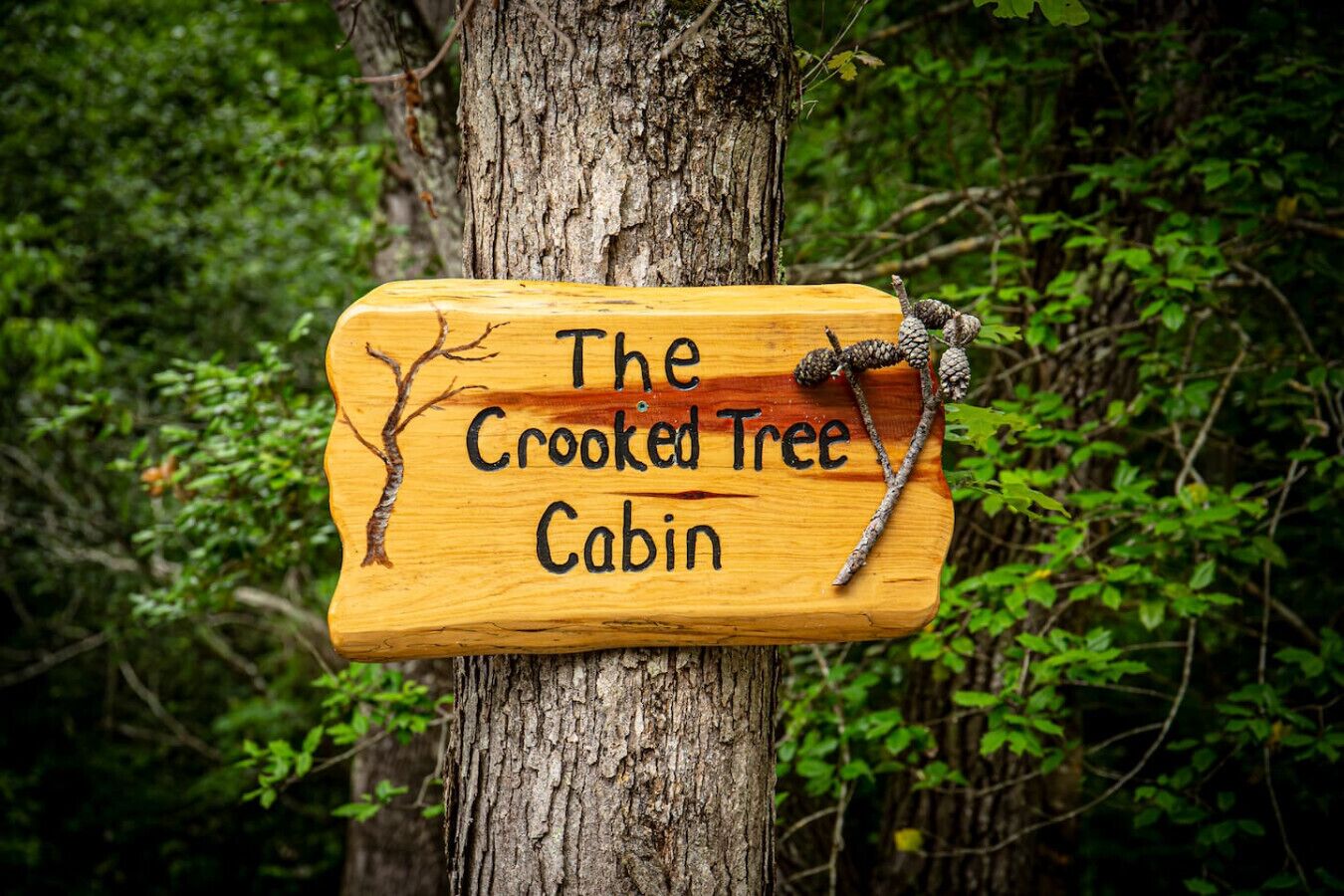 A wooden sign with the text "The Crooked Tree Cabin" attached to a tree.
