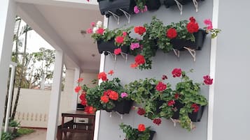 Àrea exterior de l'allotjament