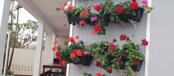 House in peruibe, available for weekends and holidays, with sea view  