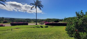 Un jardín bien cuidado con césped impecable, una palmera y arbustos florecientes.