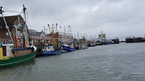 Marina - Vacation apartment Nordsee, Swatten Diek 35, Sahlenburg, small dogs on request (Cuxhaven- Sahlenburg)