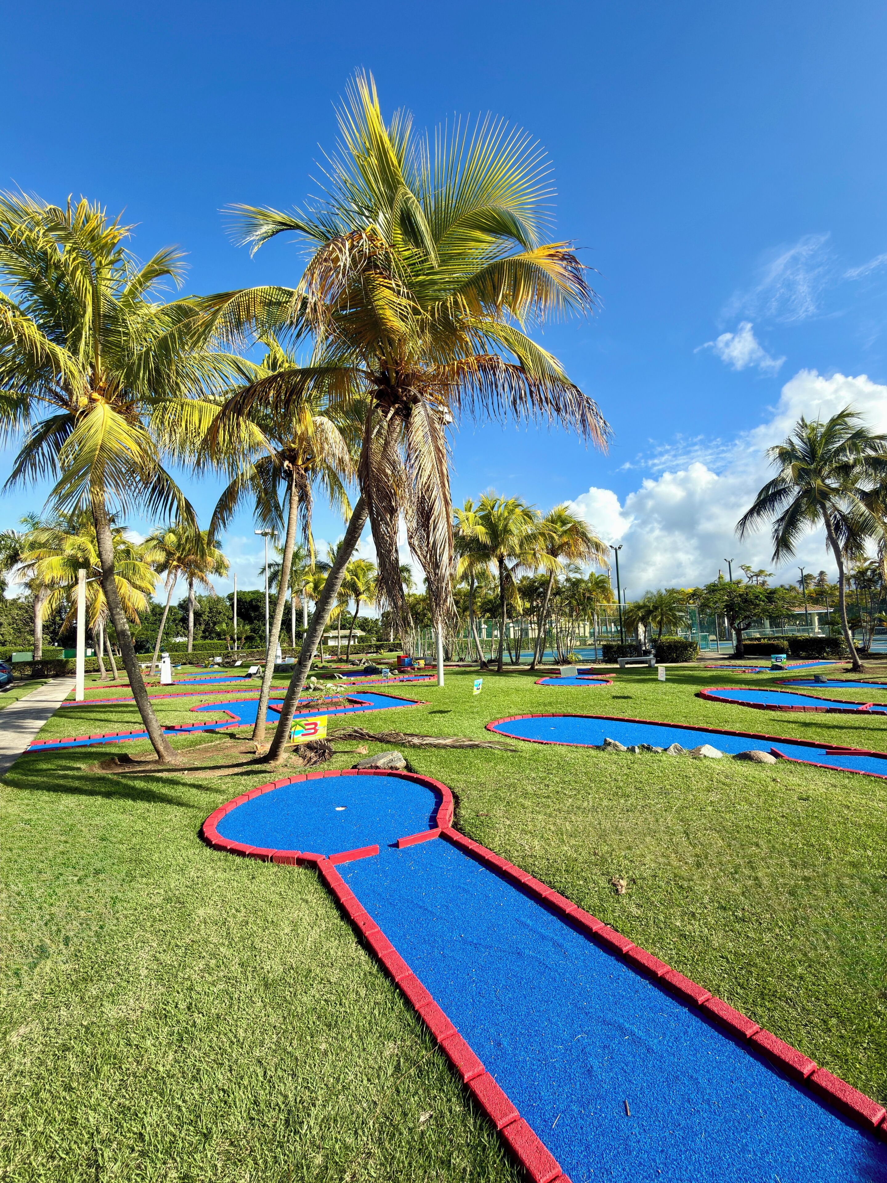 A well-maintained garden with palm trees, a blue and red pathway, and a clear blue sky.