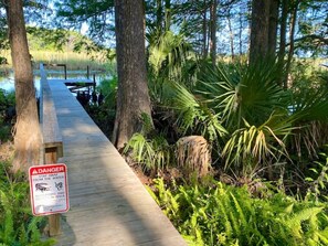 Property grounds - Cypress Fish Camp (Inverness)