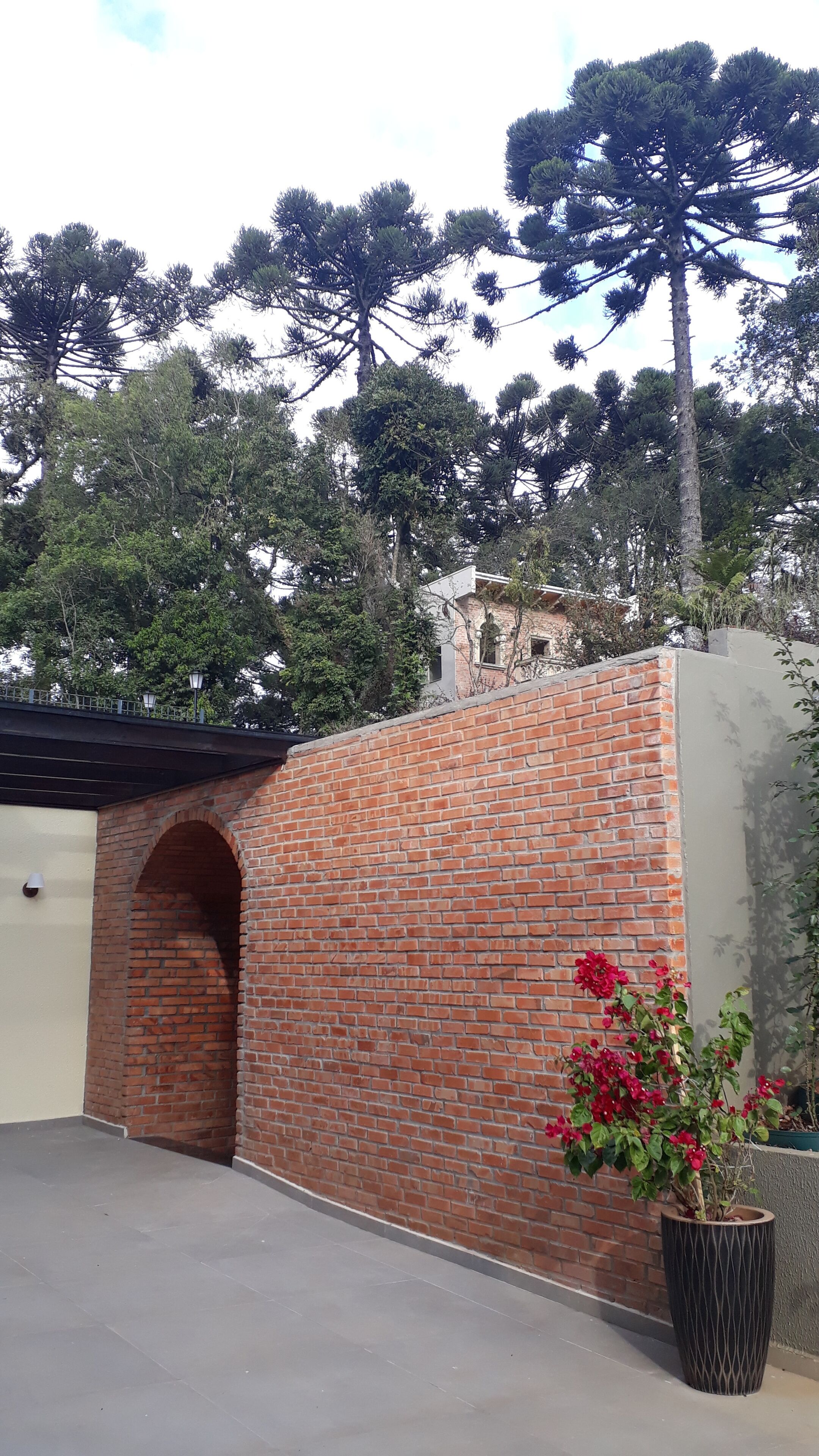 Un muro de ladrillo con una puerta de garaje, una planta en maceta con flores rojas y altos árboles al fondo.