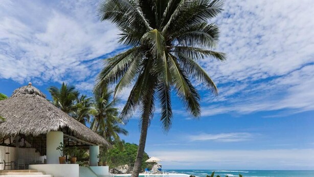 A beachfront property with a thatched-roof structure, a palm tree, and a pool area. - 2063 - Lu Iba Condo 2 (Santa María Huatulco)