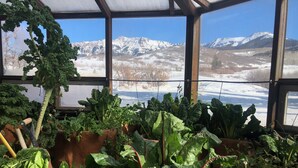 A greenhouse with various leafy vegetables and a view of snow-capped mountains through the windows. - Majestic Mountain Escape (Placerville)