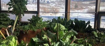 Majestic Mountain Escape