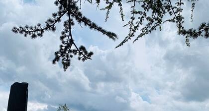 Magnifique villa provençale à Salernes Haut Var.