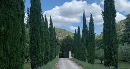 Magnificent Provencal villa in Salernes Haut Var.