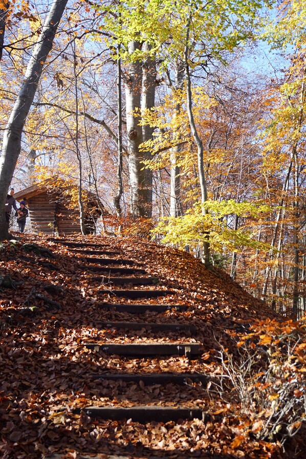 Terrain de lâhĂ©bergement