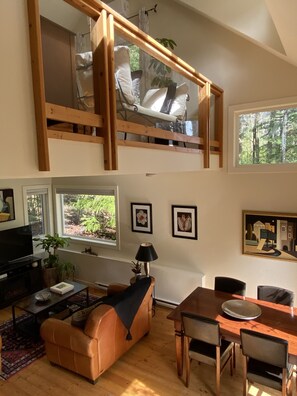 Smart TV, fireplace, books