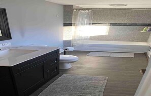 Combined shower/tub, hair dryer, towels, soap