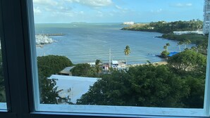 A coastal view from a window overlooking a marina with boats, a sandy beach, and a distant hill with a sign.
