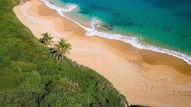 A coastal landscape with a sandy beach, clear turquoise waters, and green vegetation.