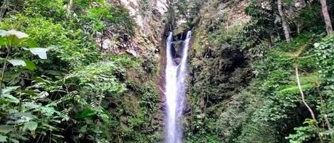 A waterfall surrounded by lush greenery, with a group of people standing on a viewing platform.