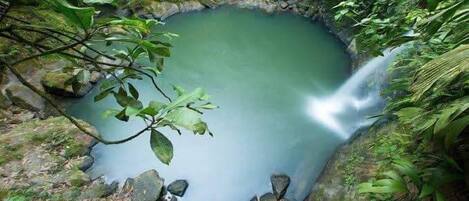 A natural pool surrounded by lush greenery and rocks.