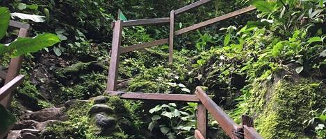 A wooden staircase with metal railings leading up a rocky path surrounded by lush greenery.