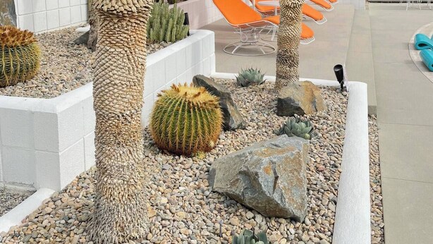Terrace/patio - Designer Wexler Oasis with Saltwater Pool & Spa (Palm Springs)