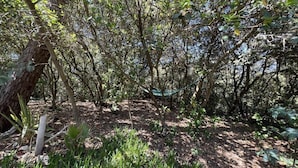 A hammock in a wooded area with dense foliage and a tree trunk to the left. - 032 - 3 *** villa in a quiet area close to the beaches and the city center (SOULAC SUR MER)