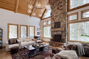 TV, fireplace, video games, books