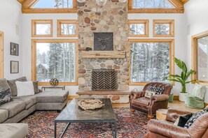 TV, fireplace, video games, books