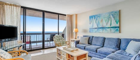 TV, DVD-spiller, bøker og filmbibliotek