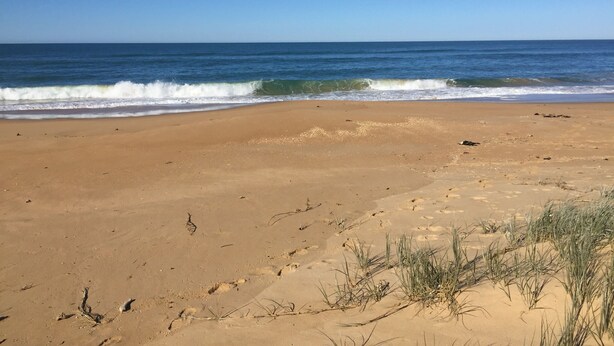 A sandy beach with waves, clear sky, and sparse vegetation. - PeliCann Sands Beach House - Loch Sport (Loch Sport)