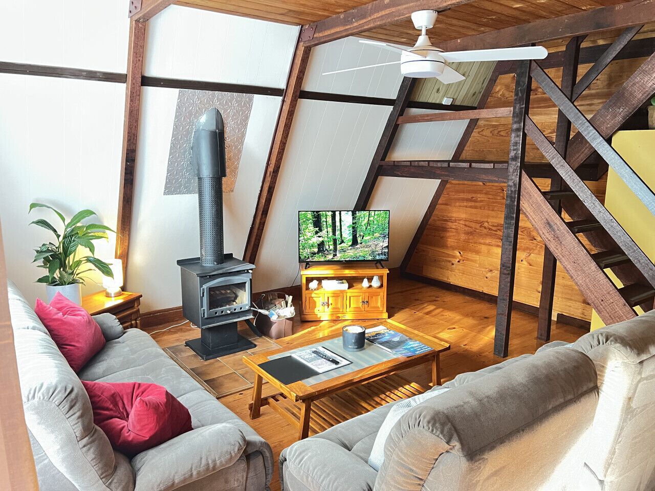 Televisión, chimenea