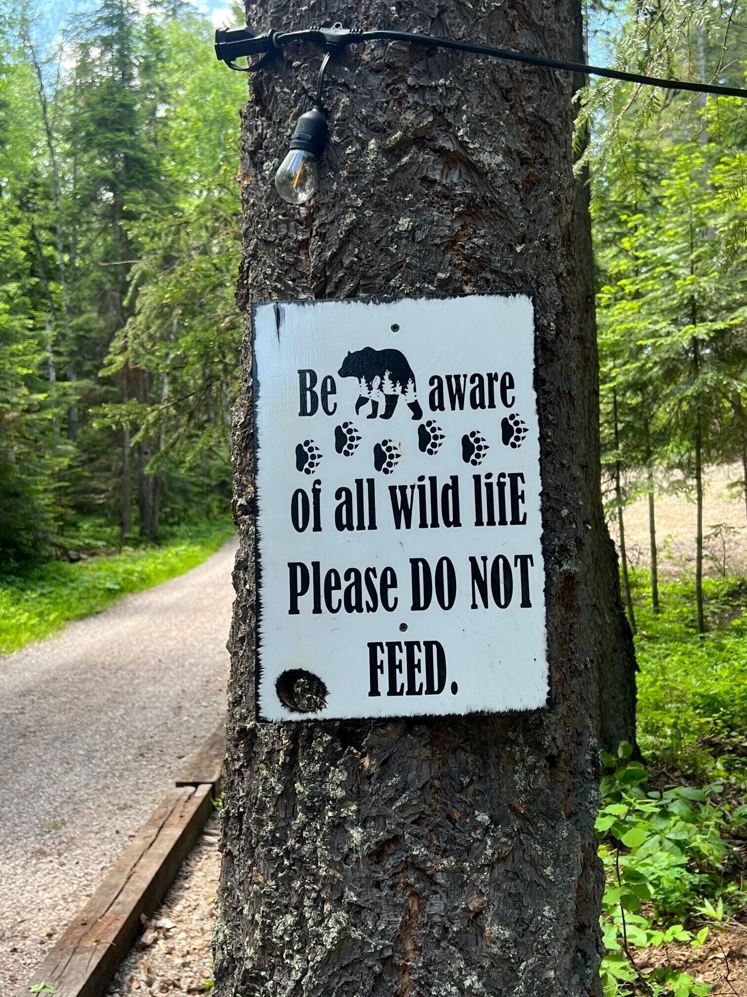 A sign on a tree warning about wild life and not feeding them.