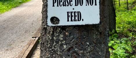 A sign on a tree warning about wild life and not feeding them.