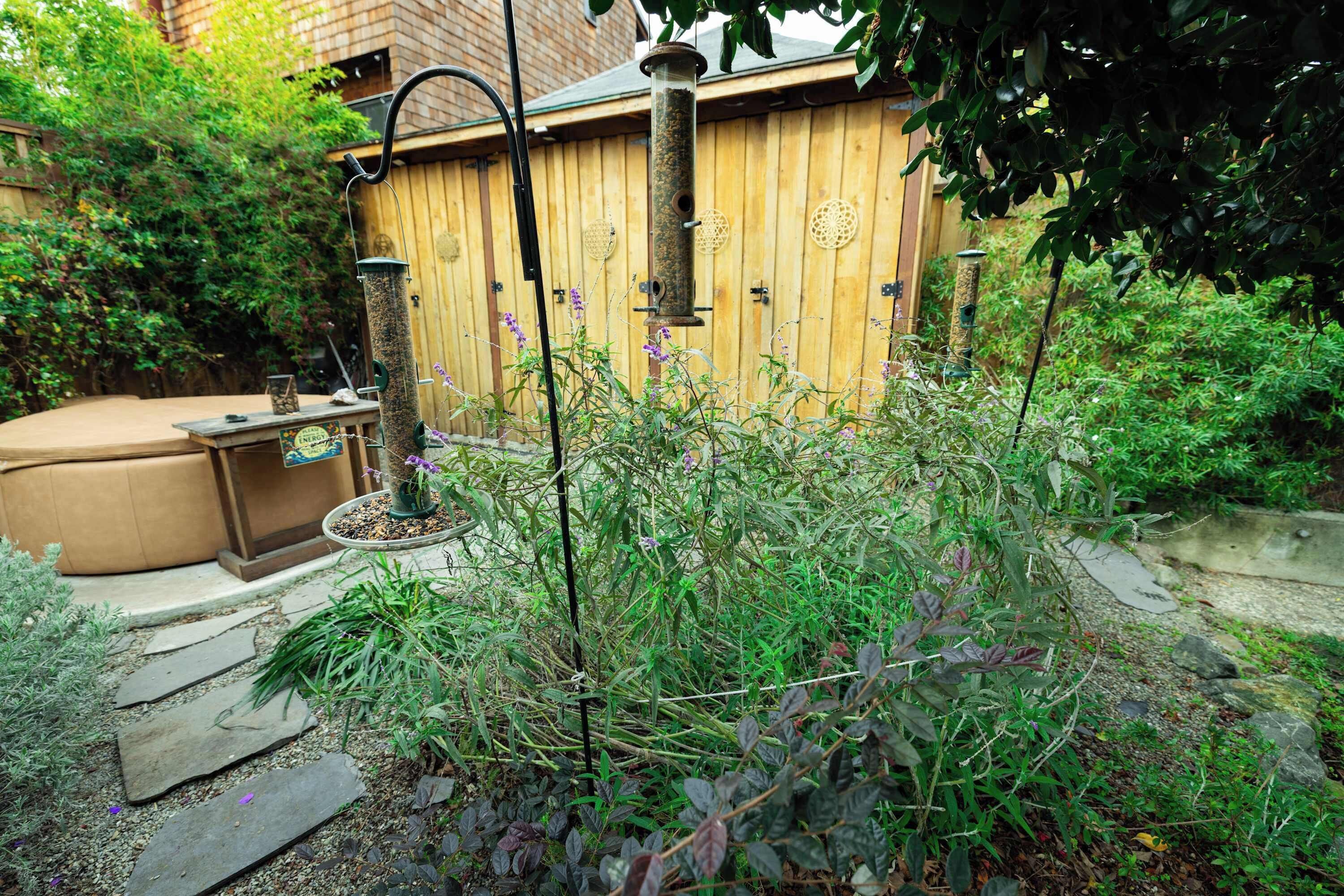 Un jardin avec une clôture en bois, une mangeoire à oiseaux et un jacuzzi.