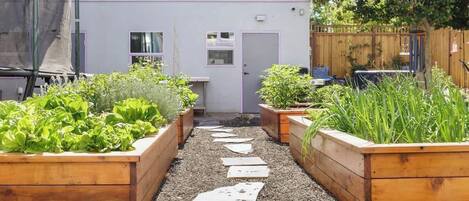 Área da propriedade