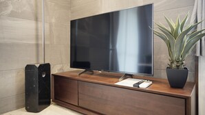Ein modernes Wohnzimmer mit Flachbildfernseher auf einer Holzkonsole, einem hohen schwarzen Lautsprecher und einem Blumentopf.