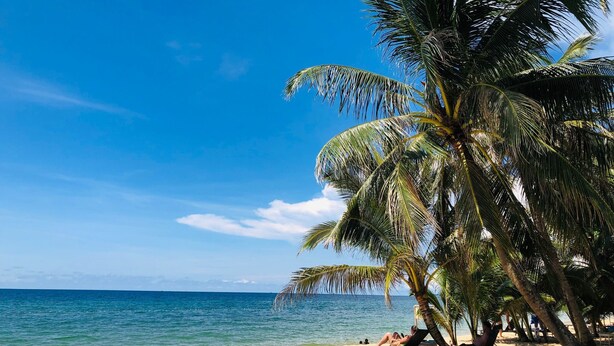 Una playa con palmeras y agua azul cristalina.