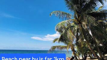 Una playa con palmeras y un cielo azul despejado.