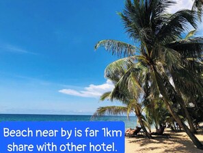 A beach with palm trees and a clear blue sky.