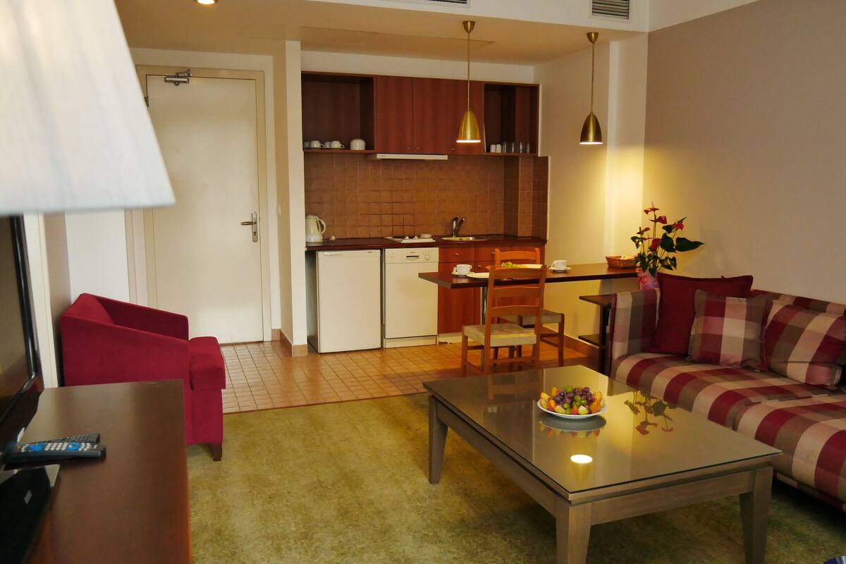 A compact living space with a kitchenette, a dining area, and a sofa.