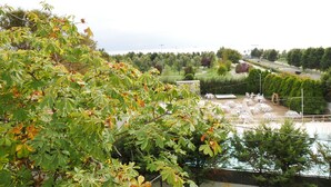 A view of a landscaped area with trees and a seating area with tables and chairs.