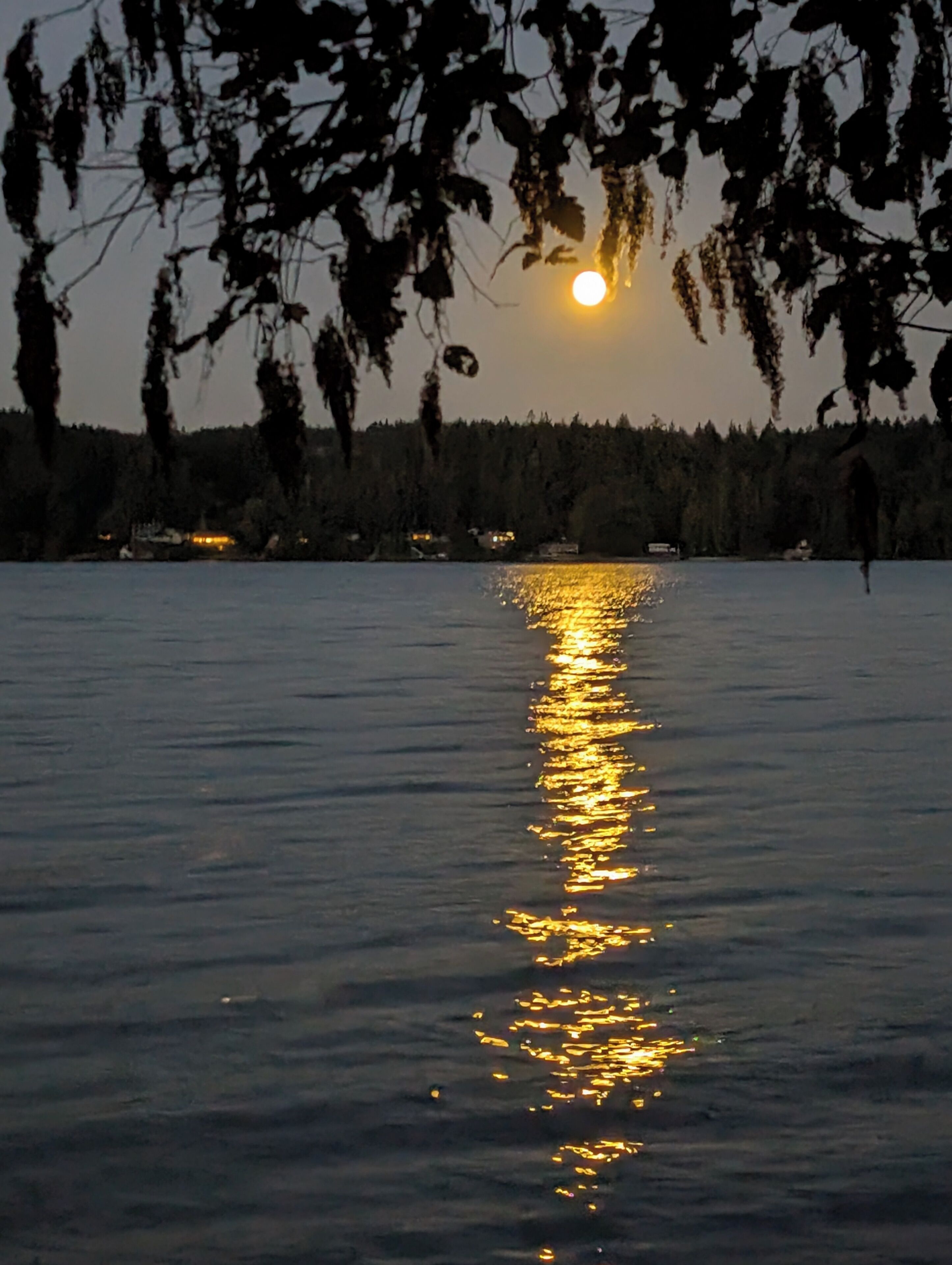 A calm lake at sunset with the sun reflecting on the water, surrounded by trees and distant buildings.