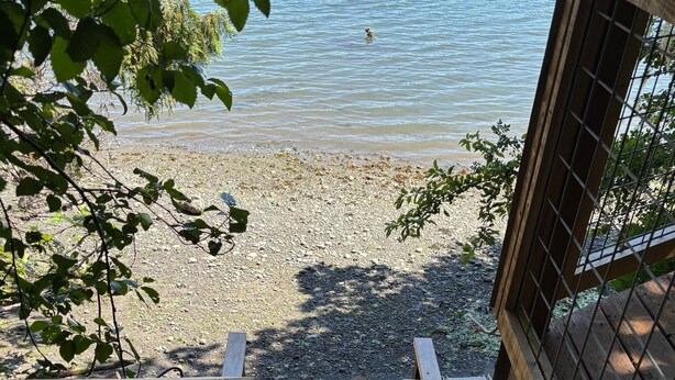 Un escalier en bois mène à une plage d’où l’on a une vue sur l’eau.