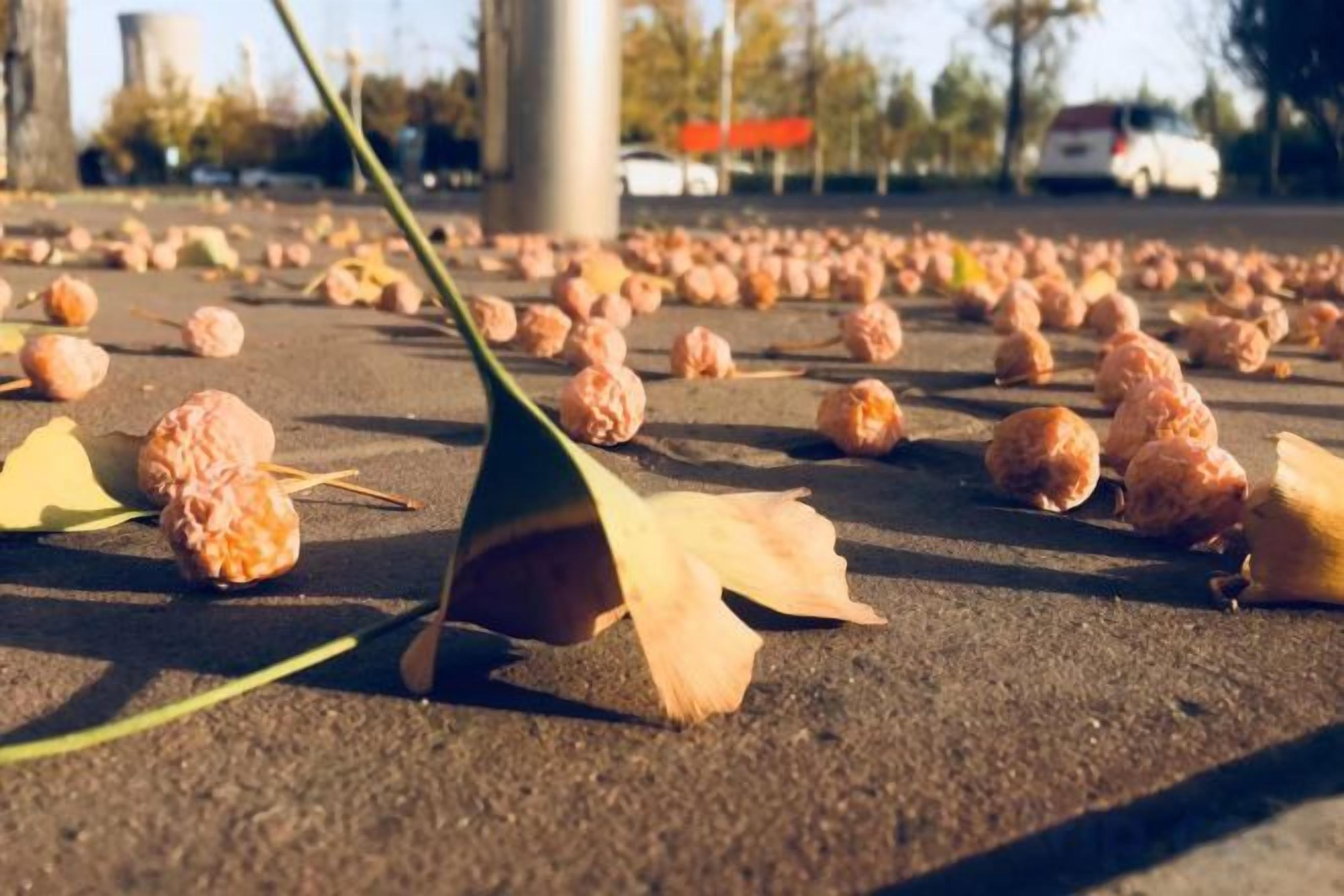 Ein Parkplatz mit zahlreichen runden Objekten auf der Fläche verteilt.