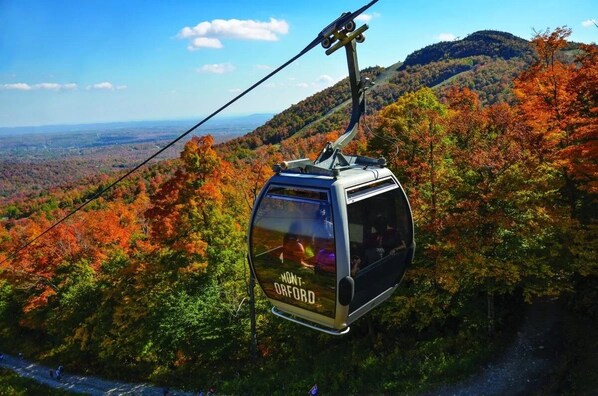 A cable car with "MONT-ORFORD" written on it, suspended over a forested area with autumn foliage. - Au Sommet du Lac Magog (Magog)