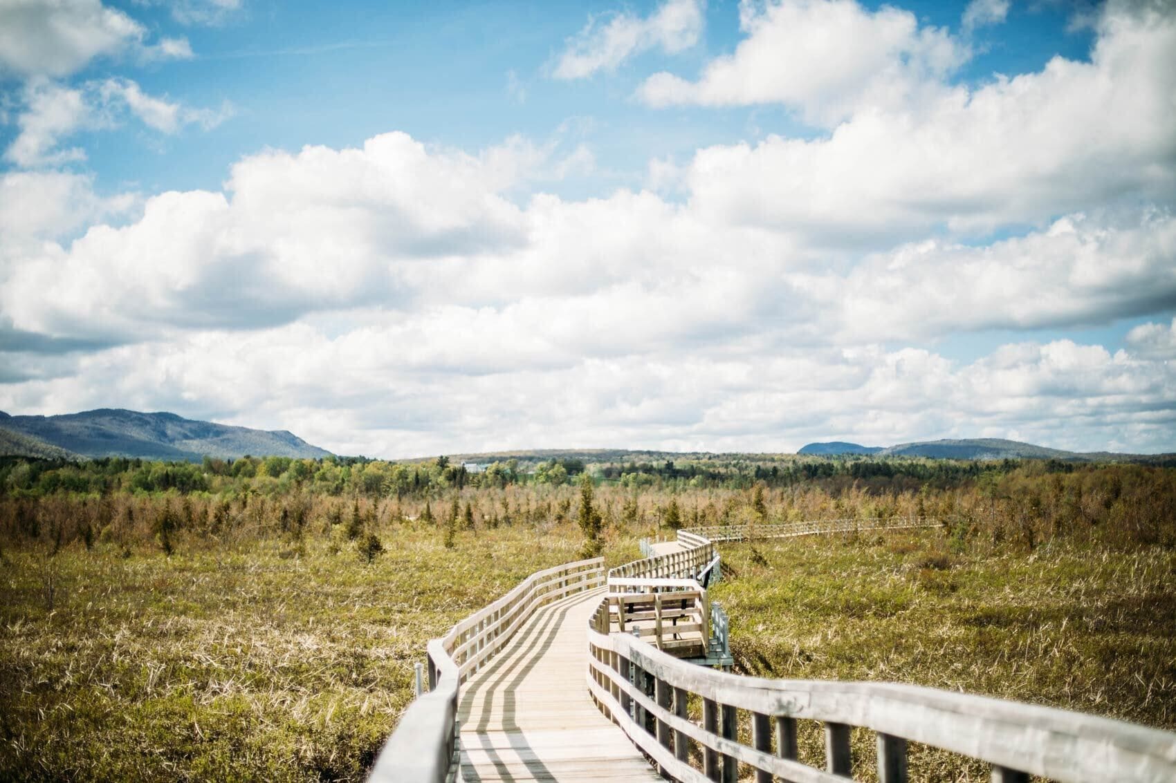 A wooden boardwalk leading through a natural landscape with distant mountains and a cloudy sky.