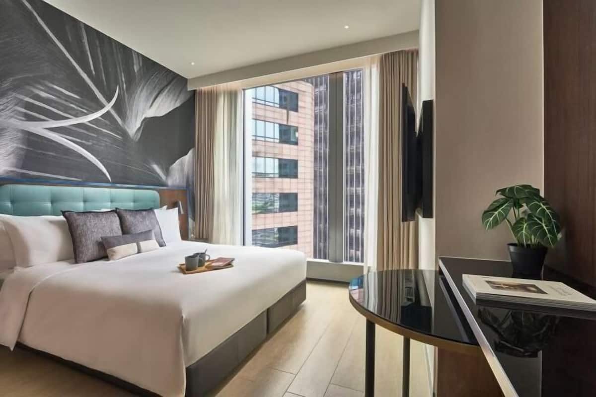 Habitación de hotel con una cama grande, vista de un edificio a través de la ventana, un televisor de pantalla plana y una mesita con una planta.