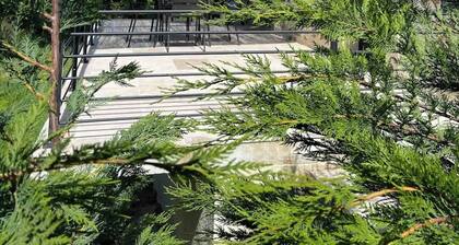 Beau gßte dans un havre de paix en DrÎme Provençale