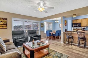 Televisión, chimenea y reproductor de DVD 