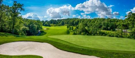 Un campo de golf con un bunker de arena y un putting green bien cuidado.