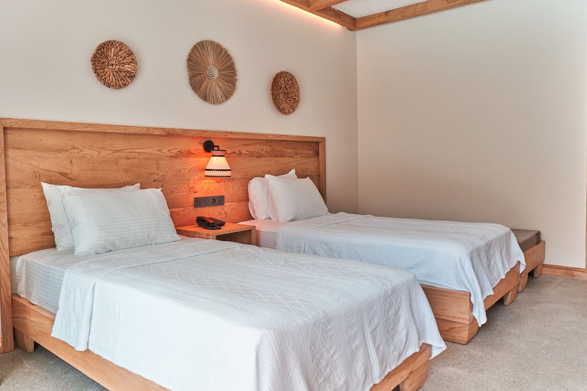 Luxury Twin Room | Egyptian cotton sheets, premium bedding, Select Comfort beds, minibar