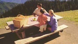 Una familia de cuatro personas en una mesa de picnic en un entorno natural, con una cesta y manzanas.